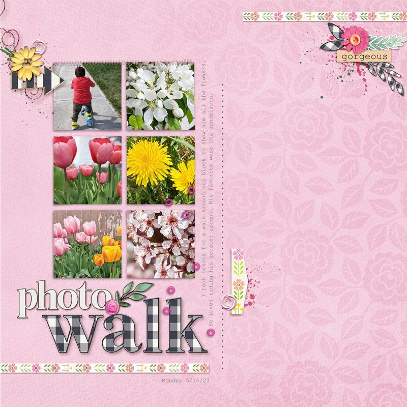 Photo-walk