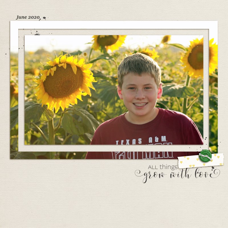 PhotoChall_June2020