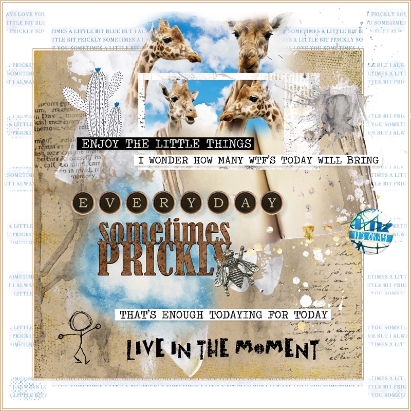 Photography Challenge-August-The Little Things-The Simple Life