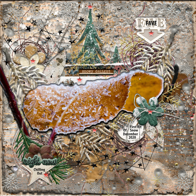 Photography Challenge-December 2020-Frosty First