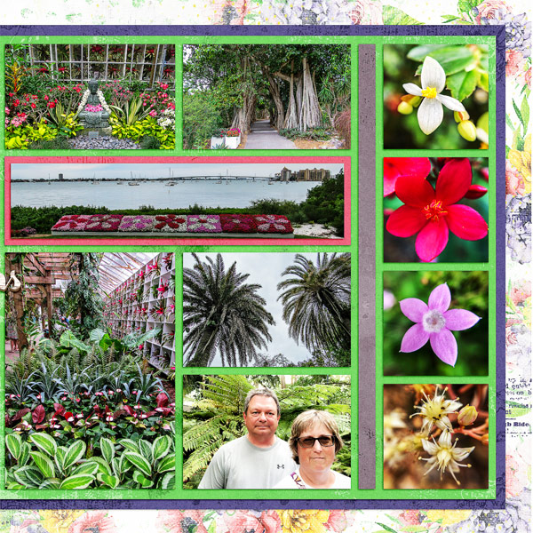 Photography Challenge Marie Selby Botanical Garden1_right