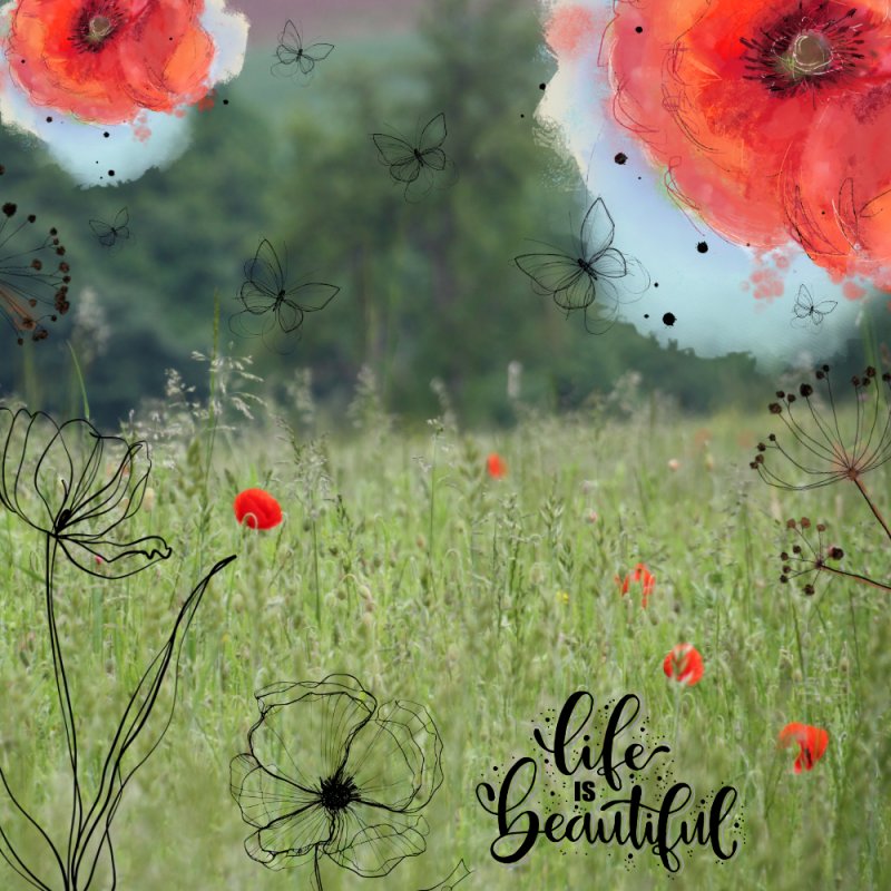 Photography Challenge May 2024