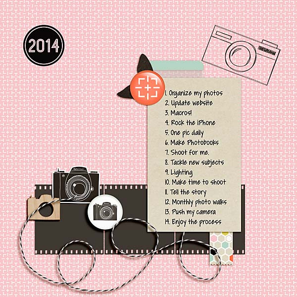 Photography goals 2014