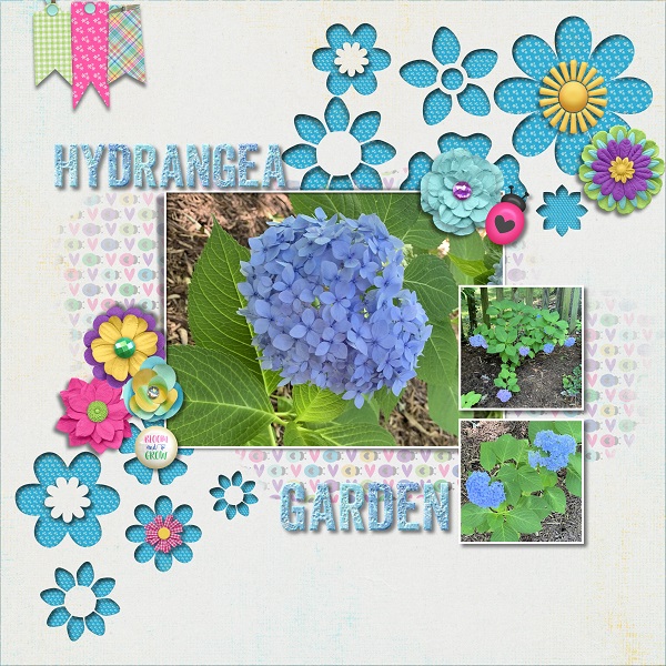 Photography May 2020