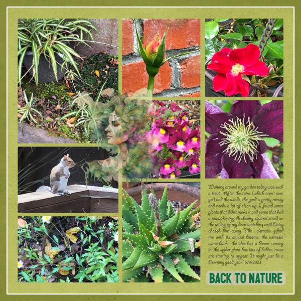 Photography_backtonature