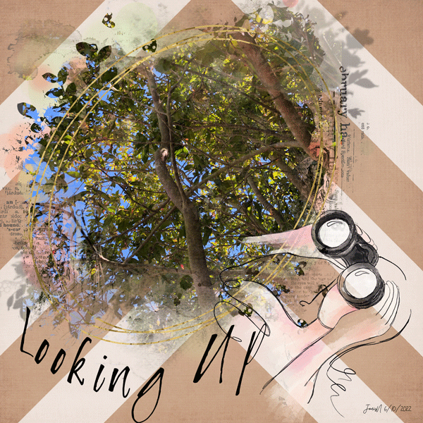 Photography_lookingup