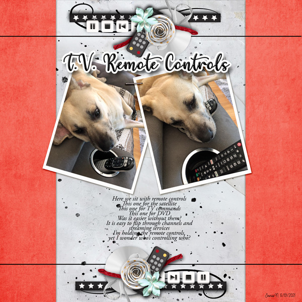 Photography_remotecontrol