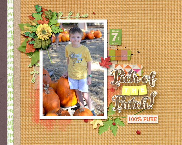 pick of patch