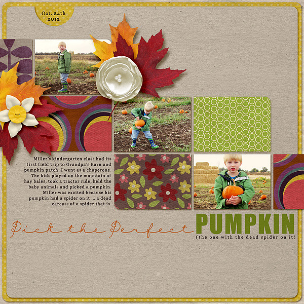 Pick the Perfect Pumpkin