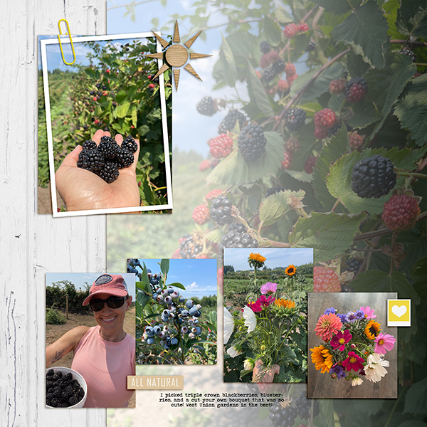Picking Berries