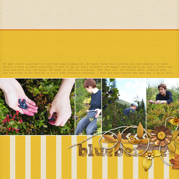 Picking blueberries