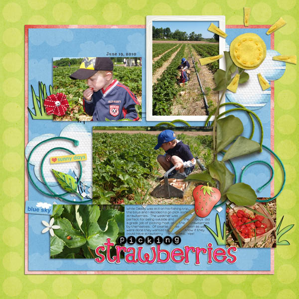 Picking Strawberries