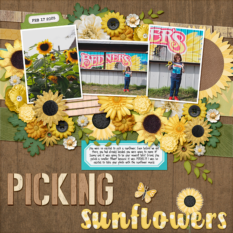picking sunflowers