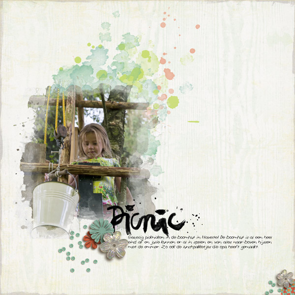Picnic
