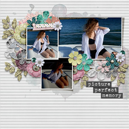 Picture Perfect Memory