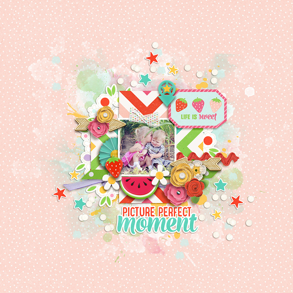 Picture Perfect Moment