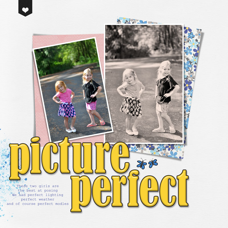 Picture Perfect