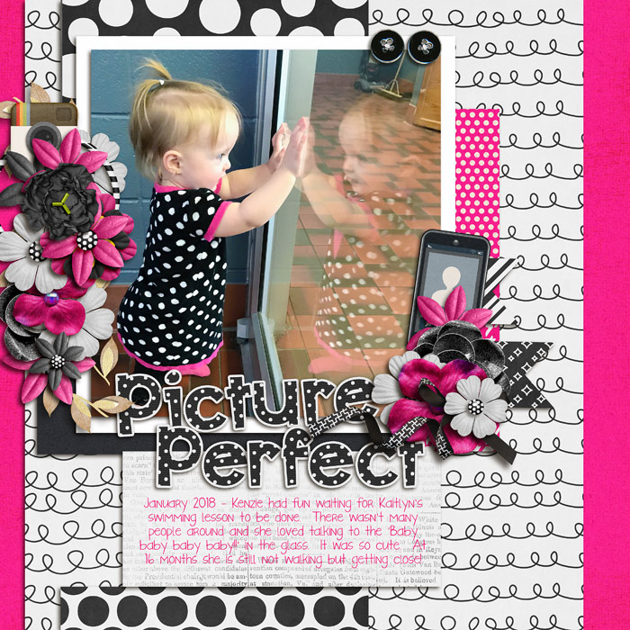 Picture Perfect