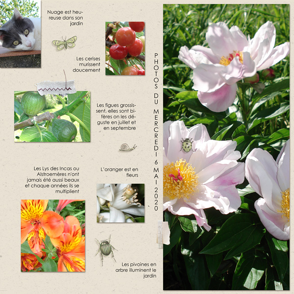 Pictures of today's garden