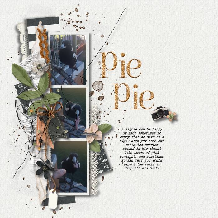 Pie-pie