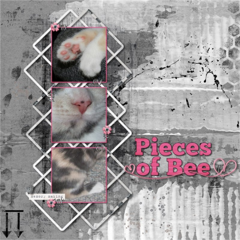 Pieces of Bee