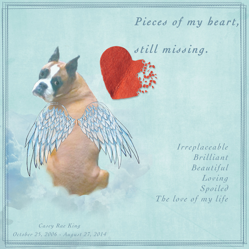 Pieces of My Heart-July-Inspiration