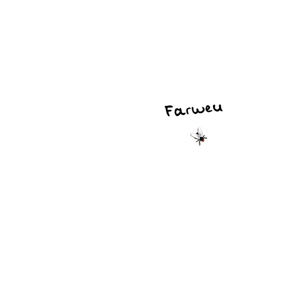 Pin The Fly