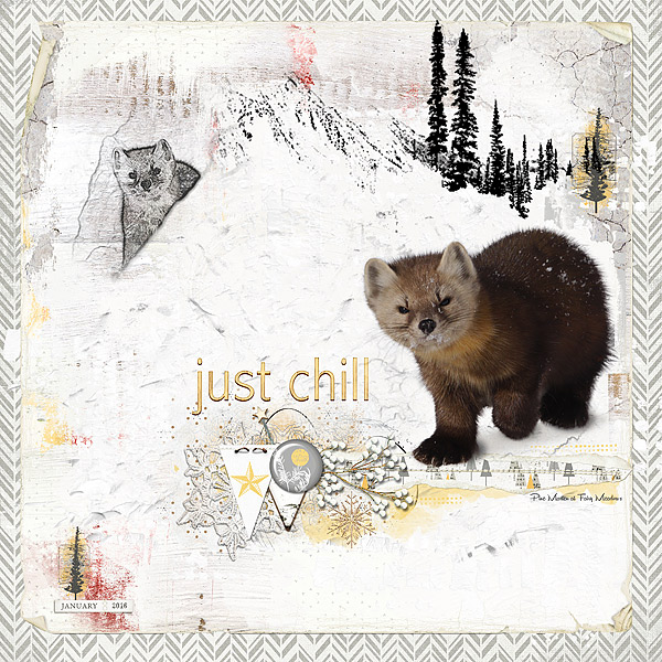 Pine Marten