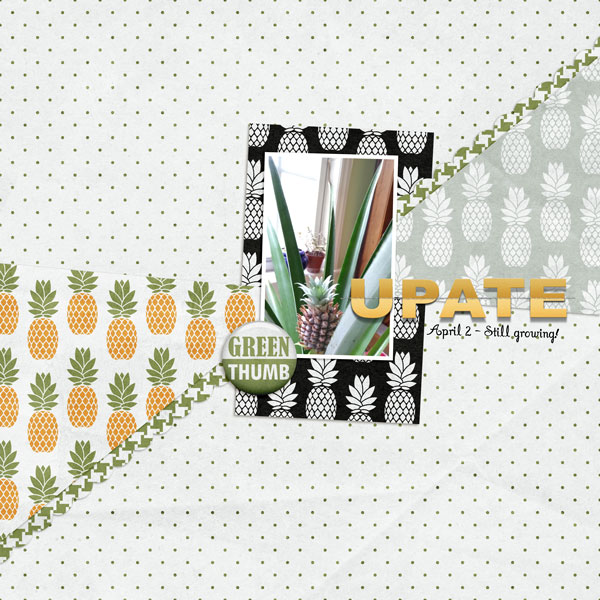 Pineapple Update