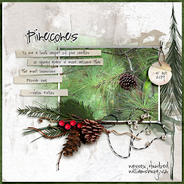 Pinecones (MOC8 Day 21 organic botanicals)