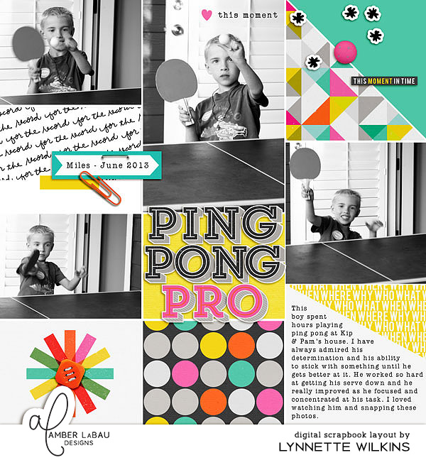 ping pong pro
