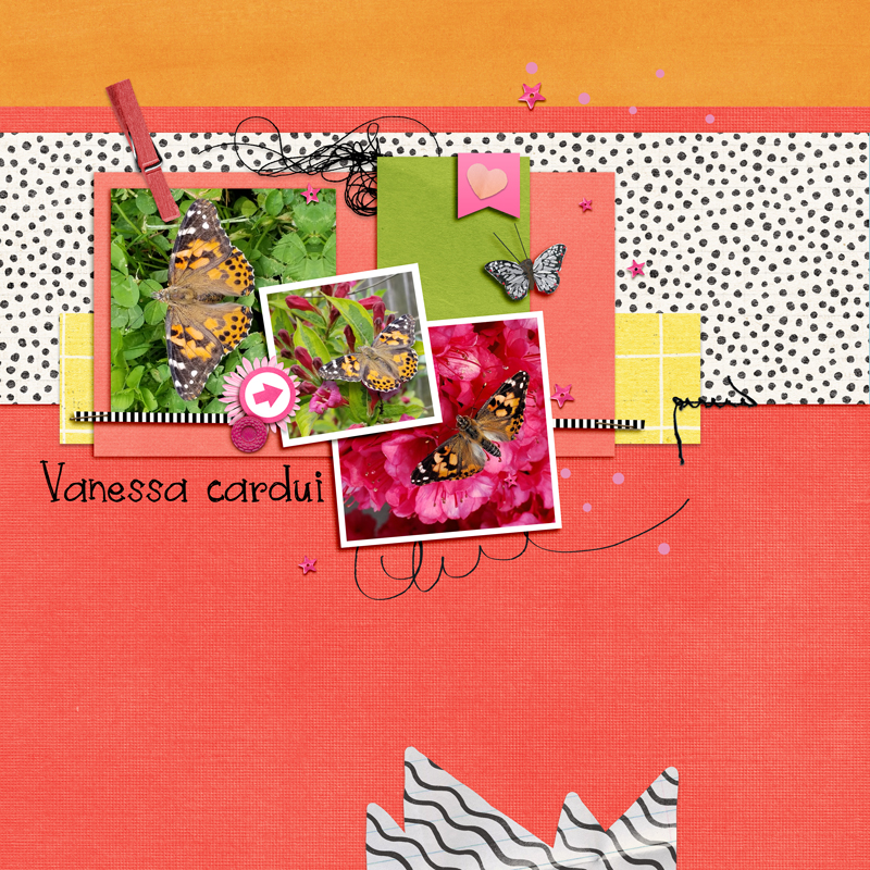 Pink Reptile Designs RAK Challenge