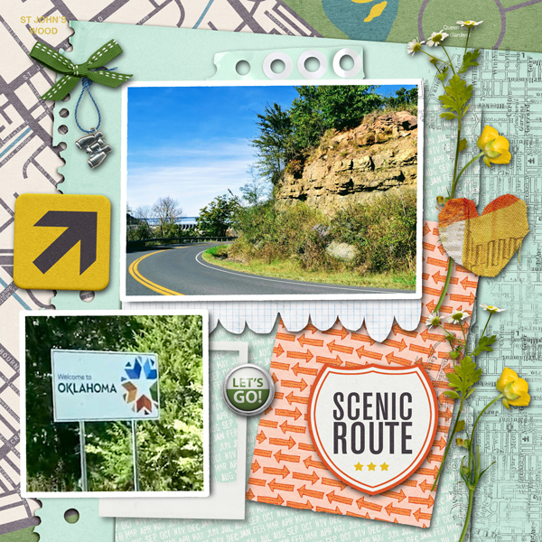 Pink Reptile Designs SOSN Scenic Route