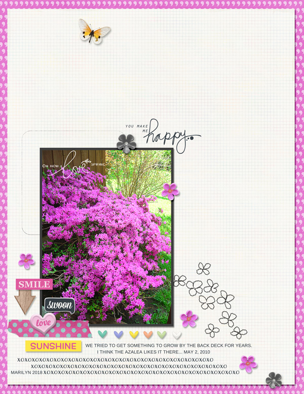 Pink-Reptile-Designs_2018-04_April_SOSN_0411_web