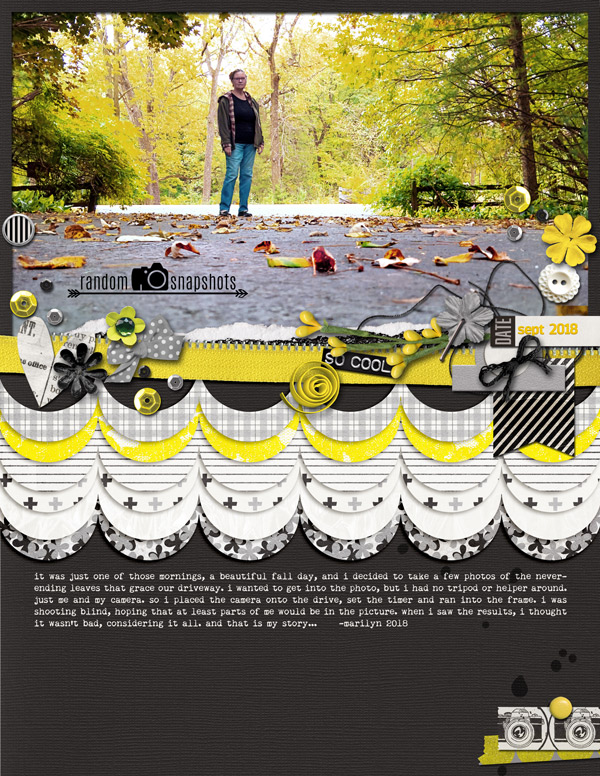Pink-Reptile-Designs_2018-11_November_BF_1123_Lemon_web