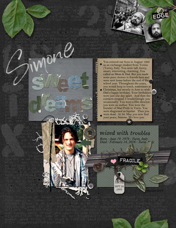 Pink-Reptile-Designs_2019-01_January_Blog-Challenge_Simone_web