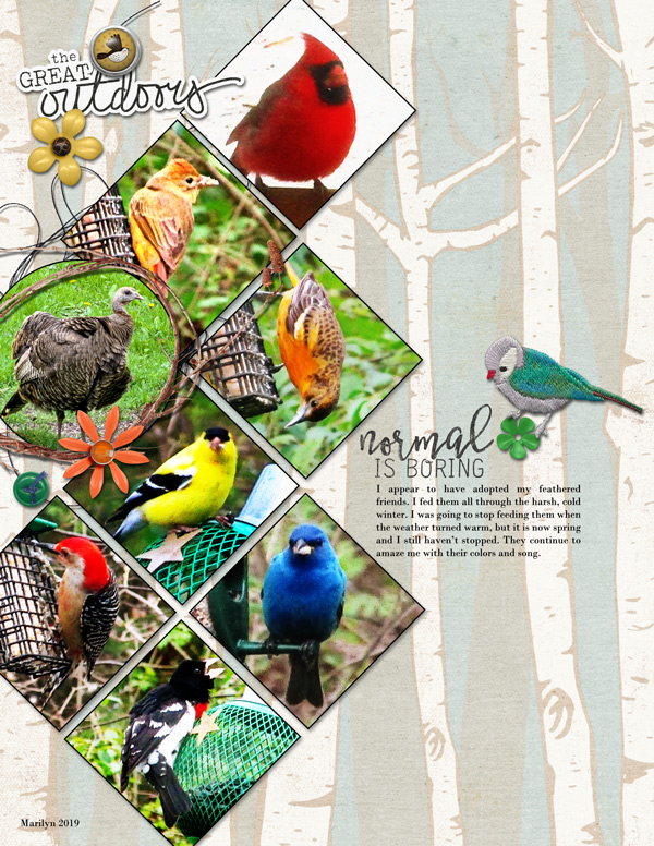 Pink-Reptile-Designs_2019-06_June_Blog-Challenge_web