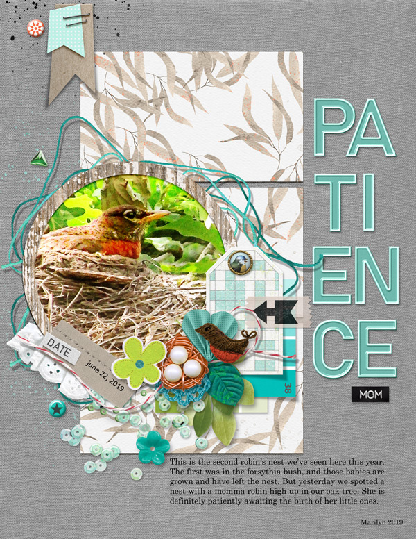 Pink-Reptile-Designs_2019-07_July_Blog-Challenge_web