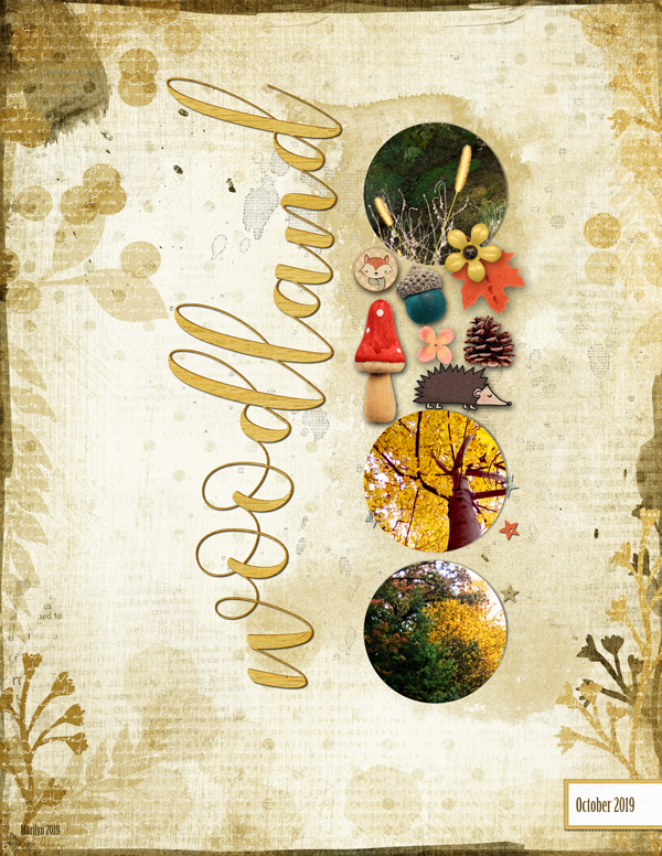 Pink-Reptile-Designs_2019-11_November_Blog-Template-Challenge_web