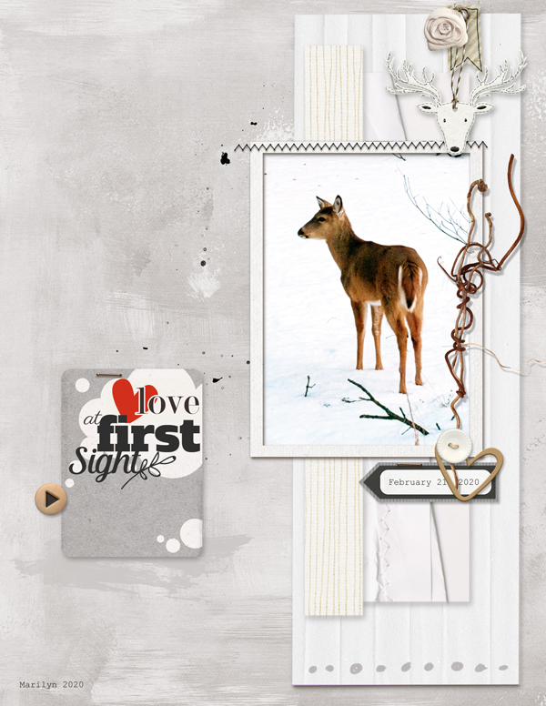 Pink-Reptile-Designs_2020-03_March_Blog-Template-Challenge_web
