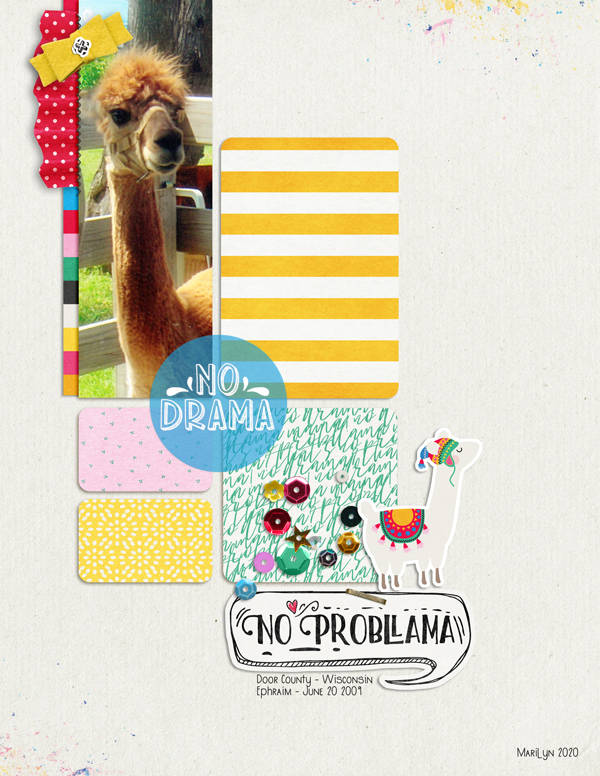 Pink-Reptile-Designs_2020-07_July_SOSN_0701_No-Probllama_web