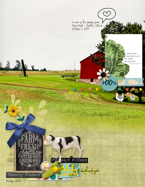 Pink-Reptile-Designs_2020-08_August_SOSN_0819_Farm-Fresh_web