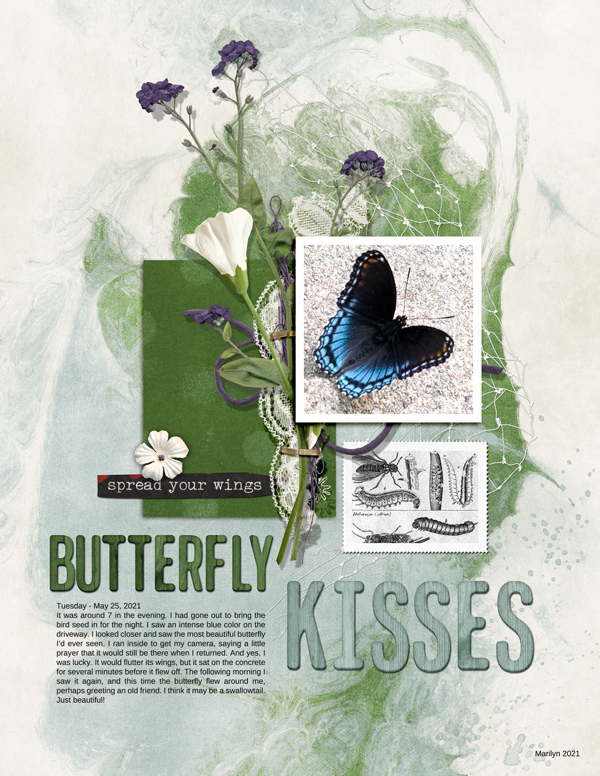 Pink-Reptile-Designs_2021-06_June_NEW_0604_BYOC_Metamorphosis_web