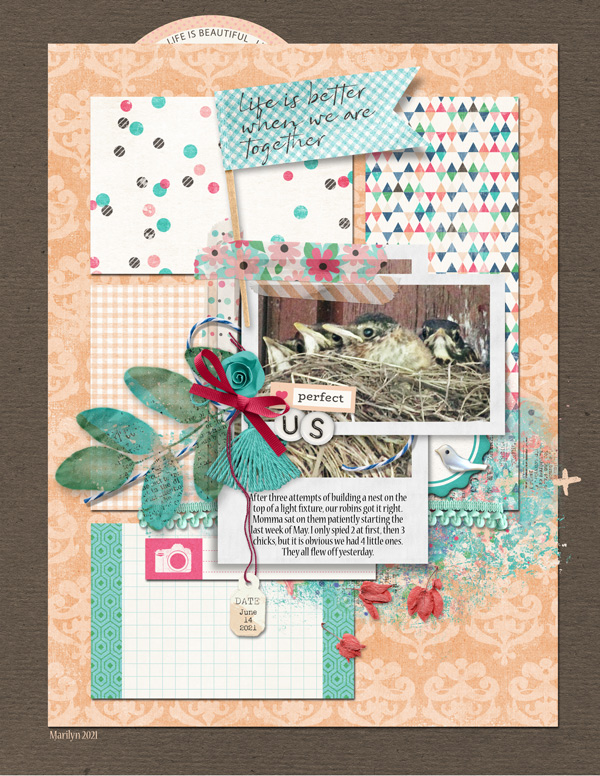Pink-Reptile-Designs_2021-06_June_SOSN_0623_Better-Together_web