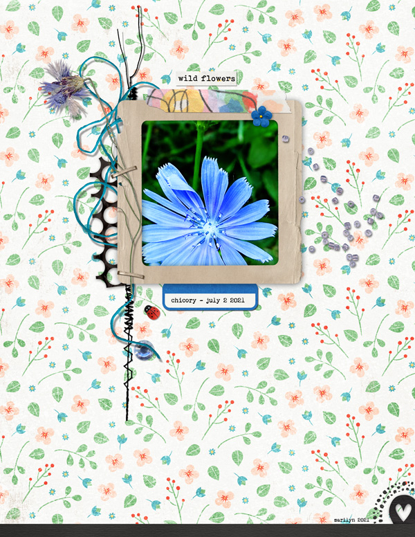 Pink-Reptile-Designs_2021-07_July_SOSN_0707_Wildflower_web