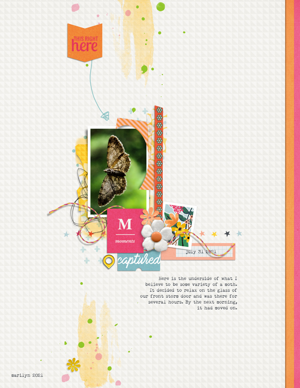 Pink-Reptile-Designs_2021-08_August_Challenge_0815_web