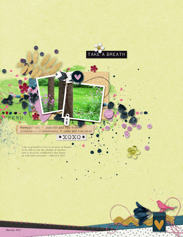 Pink-Reptile-Designs_2021-09_September_NEW_0903_BYOC_Tranquility_web