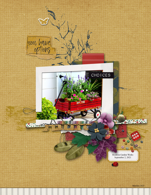 Pink-Reptile-Designs_2021-10_October_DSD_1002_Choices_web