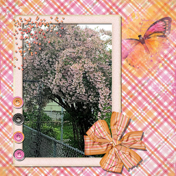 Pink Tree