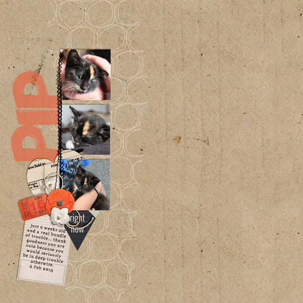Pip - Feb template challenge